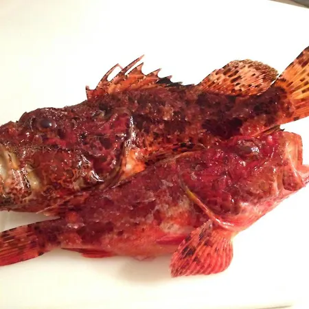 Il Giardino Maison d'hôtes Quercianella