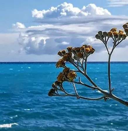 Il Giardino *