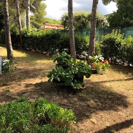 Il Giardino Guest house *
