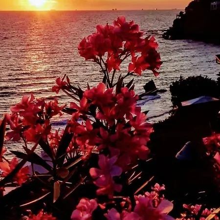 Il Giardino *