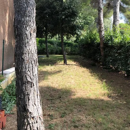 Il Giardino Guest house *