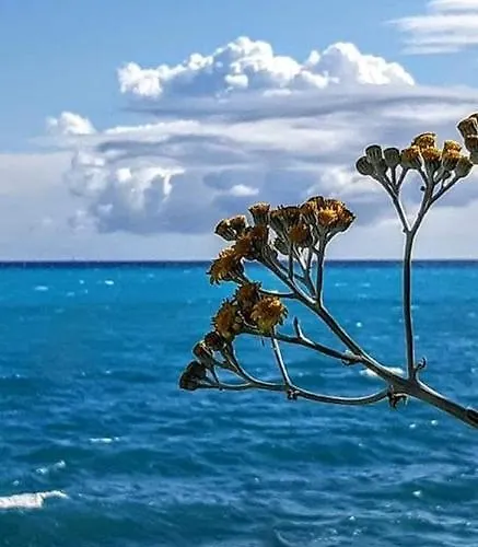 Il Giardino 3*