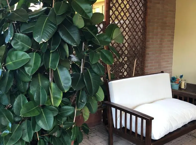 Il Giardino 3* Quercianella
