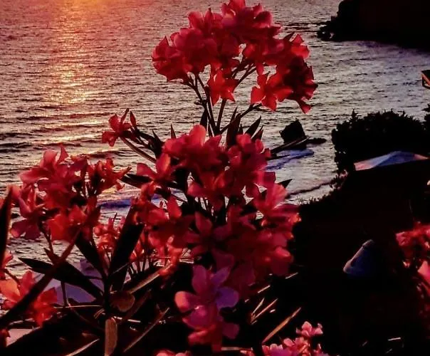 Il Giardino 3*